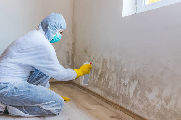 Licensed Mold Inspection service in Keansburg, NJ - WQB Mold Removal