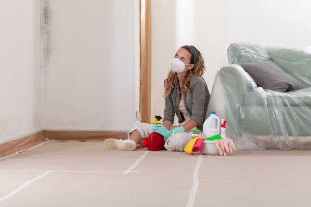 Reliable Mold Inspection contractor in Keansburg, NJ by WQB Mold Removal